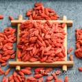 Baies de goji rouges biologiques de qualité supérieure pour la santé